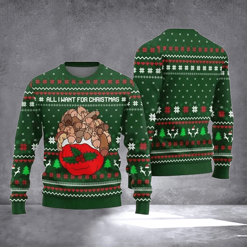 All I Want For Christmas Ugly Christmas Sweater Funny Winter Apparel Christmas Gifts For Wife - Otakuforge