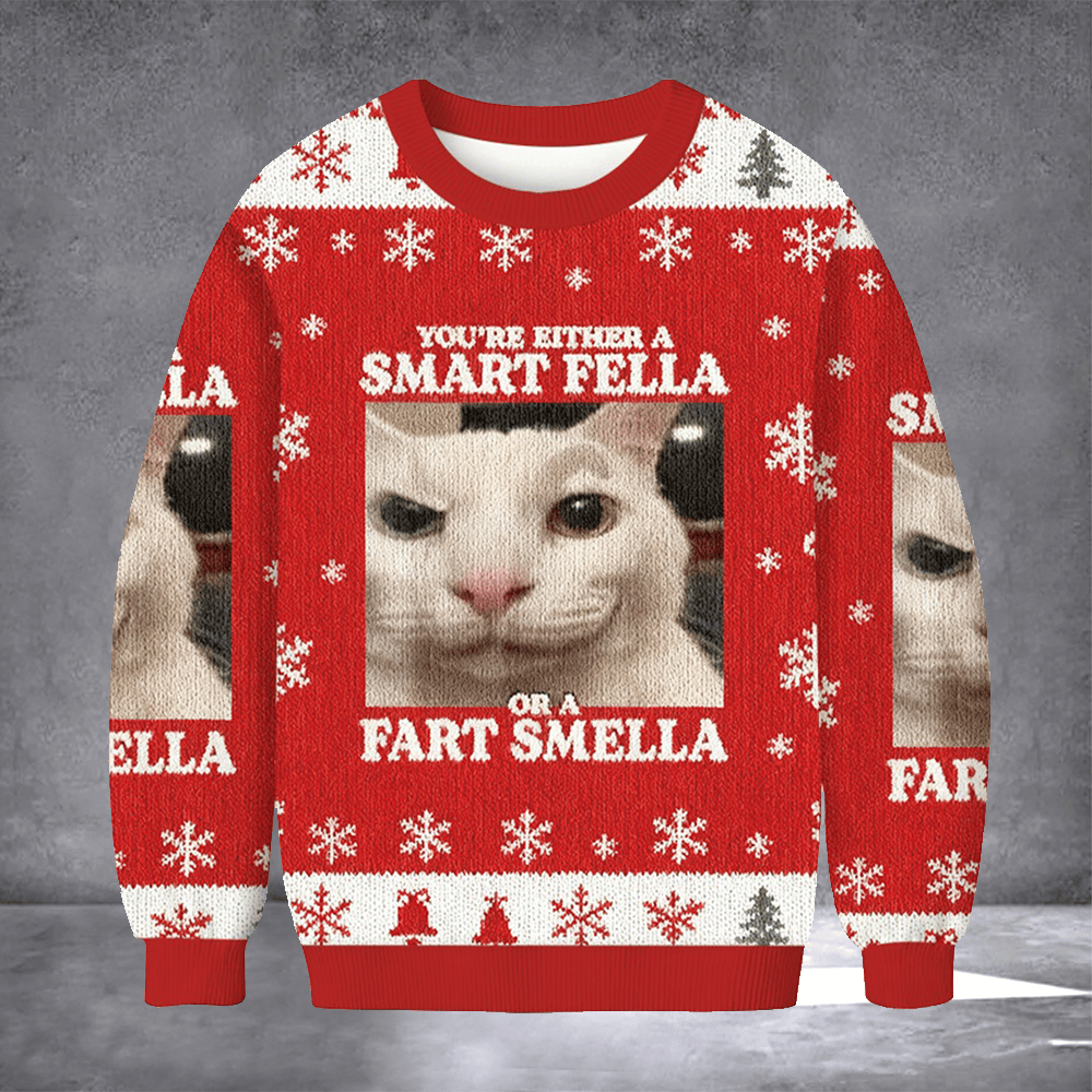 You're Either A Smart Fella Cat Meme Ugly Christmas Sweater Funny Pun Clothing Xmas Gifts - Otakuforge