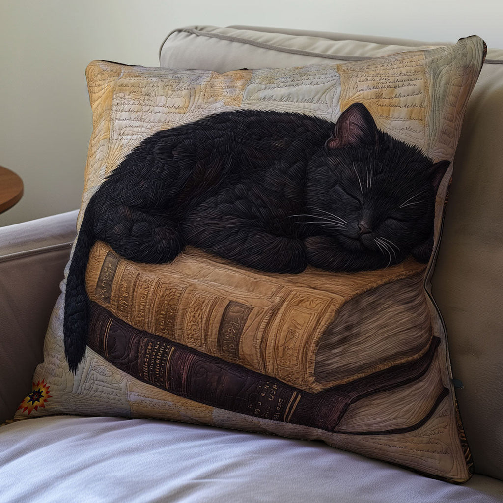 Sleeping Black Cat WY2711055CL Quilt Pillow Case