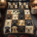 Furry Friend Labrador 3-Piece Quilted Bedding Set NCU0PD545